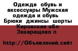 Одежда, обувь и аксессуары Мужская одежда и обувь - Брюки, джинсы, шорты. Кировская обл.,Захарищево п.